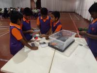 Inter-Class Robotics