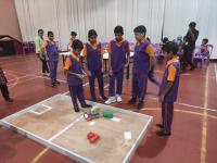 Inter-Class Robotics